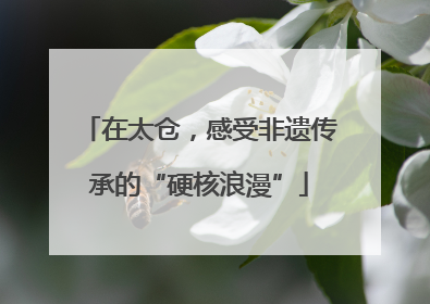 在太仓，感受非遗传承的“硬核浪漫”